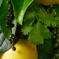 Molton Brown Re-charge Black Pepper Body Lotion -Clinique || Molton Brown || Fresh Sales Store global images 008080150073 3