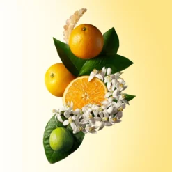 Molton Brown Orange And Bergamot Body Lotion -Clinique || Molton Brown || Fresh Sales Store global images 008080150097 3