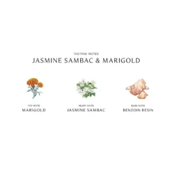Jasmine Sambac And Marigold Cologne Intense 10 Jasmine Sambac And Marigold Cologne Intense -Clinique || Molton Brown || Fresh Sales Store global images p690251122172 1