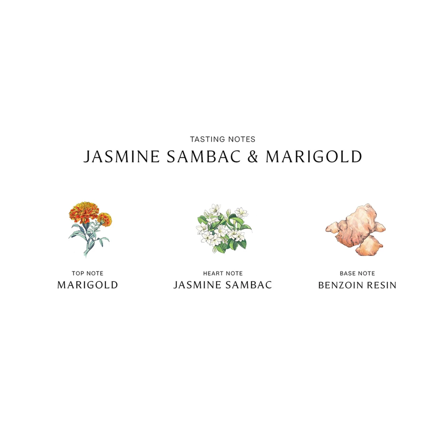 Jasmine Sambac And Marigold Cologne Intense 4 Jasmine Sambac And Marigold Cologne Intense - Image 4