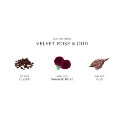 Velvet Rose And Oud Cologne Intense -Clinique || Molton Brown || Fresh Sales Store global images p690251122219 1