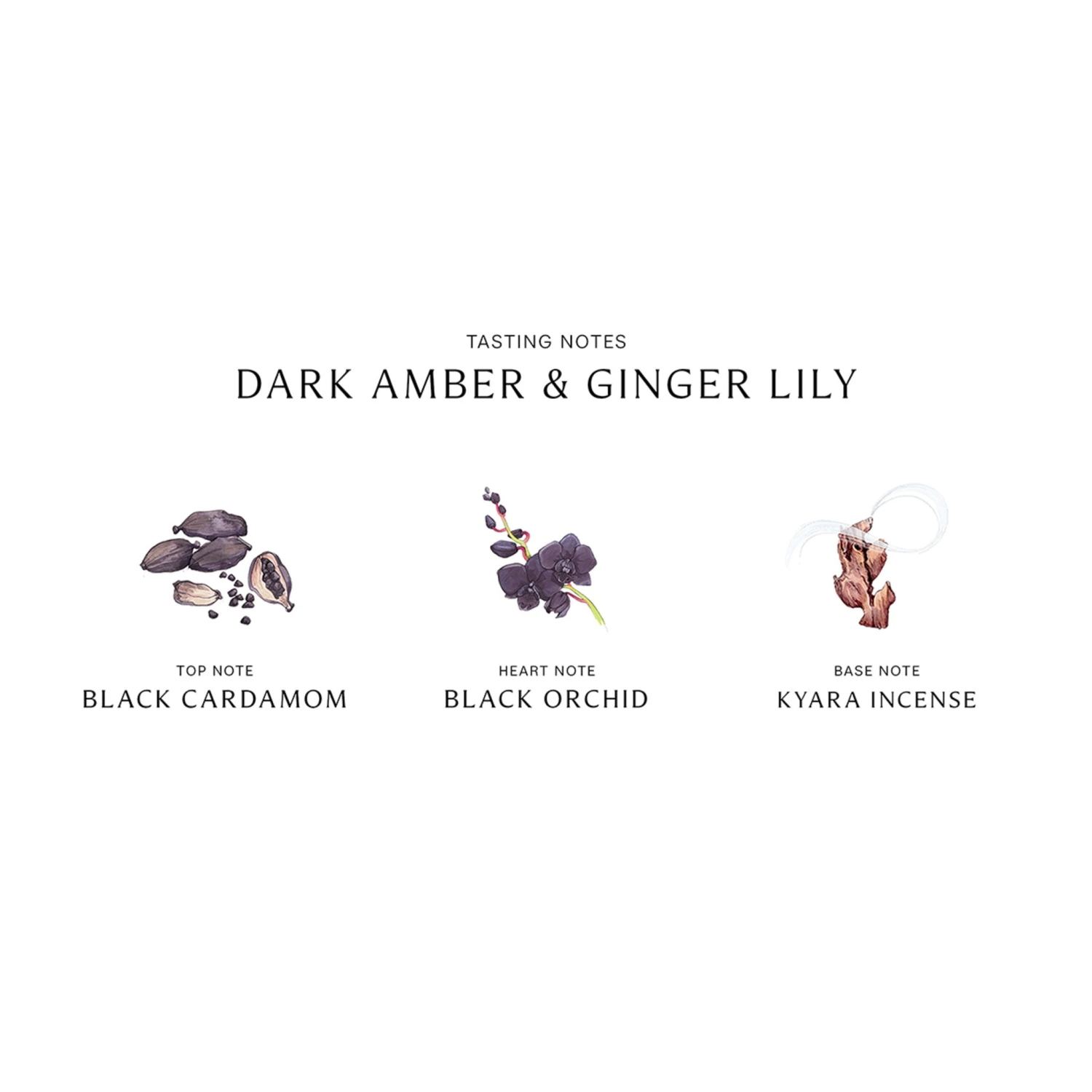 Dark Amber And Ginger Lily Cologne Intense 4 Dark Amber And Ginger Lily Cologne Intense - Image 4